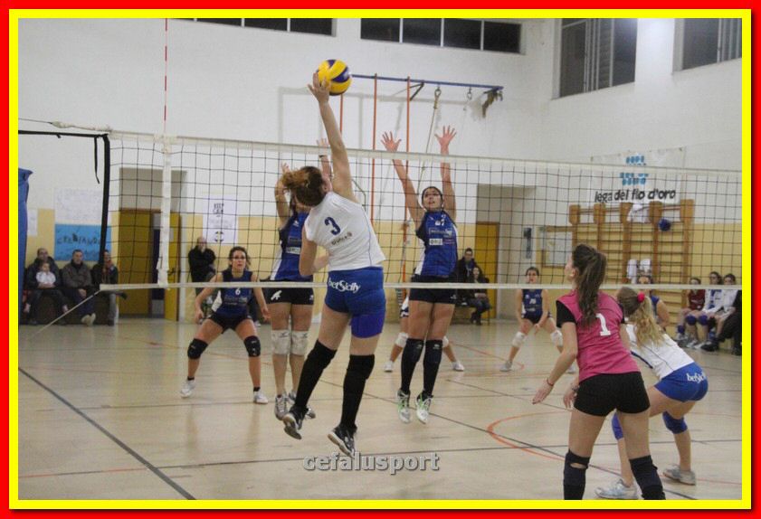 140305 Primula 148_tn.jpg